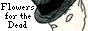 88x31 button