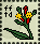 clove